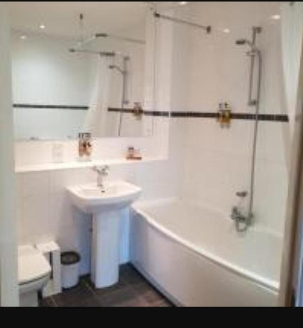 Parc Y Bryn Luxury Penthouse Apartment Aberystwyth Exteriér fotografie