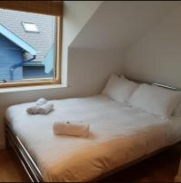 Parc Y Bryn Luxury Penthouse Apartment Aberystwyth Exteriér fotografie
